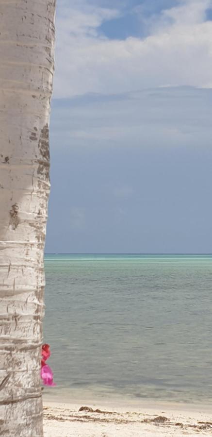 Samaki Villa Watamu Bagian luar foto